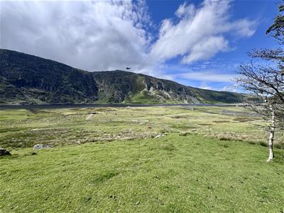 Picture 20